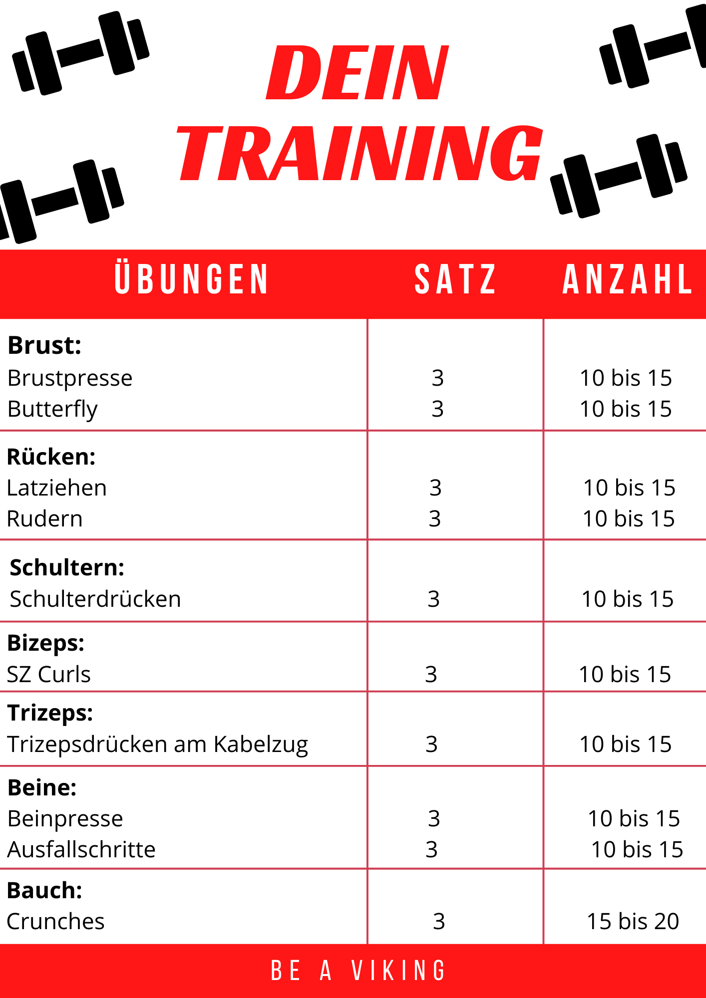 Trainingsplan F r Anf nger Und Wiedereinsteiger Team Viking GmbH Trainingsplan F r Anf nger Und Wiedereinsteiger Team Viking GmbH